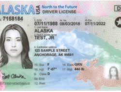 Exclusive Insurance Deals For Identity Theft Protection Insurance In Usa