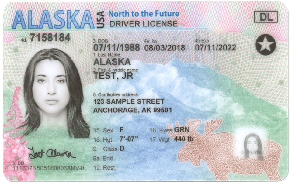 Exclusive Insurance Deals for Identity Theft Protection Insurance in USA